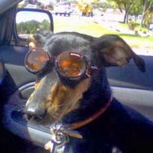 Meet your Posher, Brian